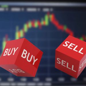 On-chain activity decouples from price action as utility projects dominate 2025