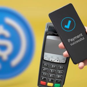 Stablecoin-based payment cards are poised to be a major cryptocurrency trend in 2026