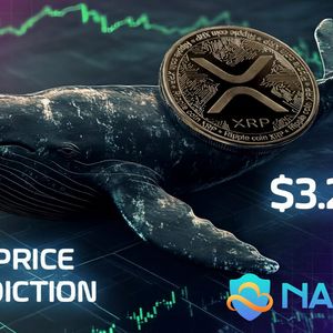 XRP Price Forecast: Whale Accumulation of 325 Million Signals Bullish Sentiment as Investors Earn $18,700 a Day in Passive Income Through NAP Hash Cloud Mining