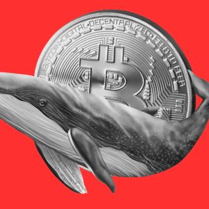 Exchange data shows BTC whales moving out of leveraged long positions