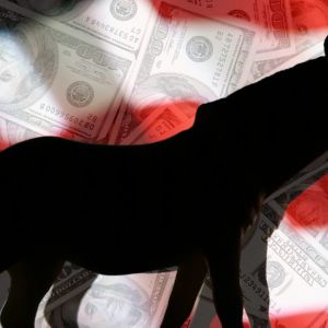 Democrats roll out BlueVault to appeal to crypto donors, voters ahead of midterm elections