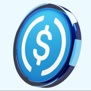 Circle says regulated stablecoins could form a new global settlement layer