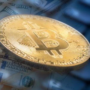 Advisers double down on crypto as 99% plan steady or higher allocations