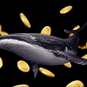 Crypto whales shift to low-priced BSC, Solana tokens as BTC, ETH consolidate