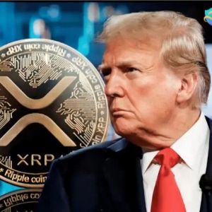 Trump Pledges Higher Tariffs as XRP Drops Below $2 — Investors Earn $26,700 a Day in Passive Income Through NAP Hash Cloud Mining