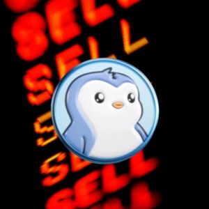 Manchester City forced to intervene as Pudgy Penguins draws India backlash