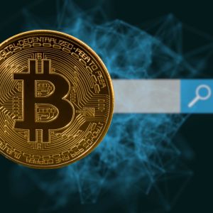 Bitcoin search interest drops 50% in 2025 despite price records