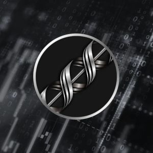 Railgun develops private DeFi on Ethereum