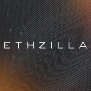 ETHZilla spends $12M on two plane engines to advance tokenization push