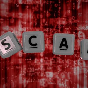 Moltbot founder denies involvement in meme coins after scammers exploit Clawdbot rebrand