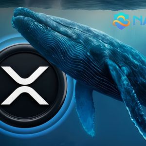 XRP Whales Move Over $1 Billion in Tokenized Assets Into NAP Hash Cloud Mining, Earning $30,000 a Day in Passive Income
