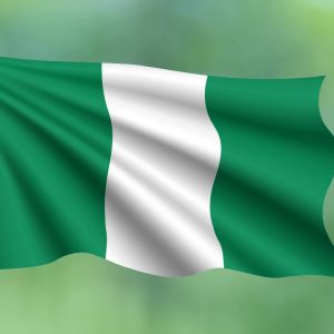 Nigerian authorities arrest suspect behind fake crypto platform Polyfarm