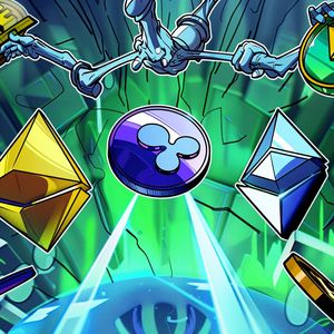 Whales Reveal Their Top Cryptocurrency Picks: Experts Highlight a New Protocol with 500% Upside