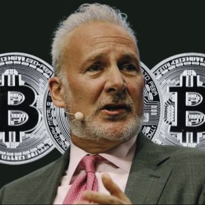 Peter Schiff says Bitcoin is in a long-term bear market against gold