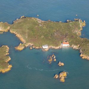 Locals fight back over reports Bitcoin investor Olivier Janssens wrote crypto bill for Caribbean island Nevis