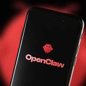 ClawHub hosts AI agent skills enabling supply chain attacks