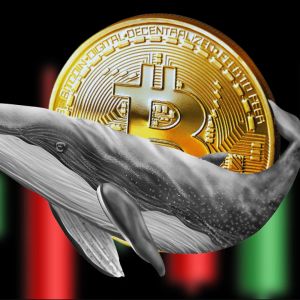 Whales have been buying BTC aggressively during the recent market drop