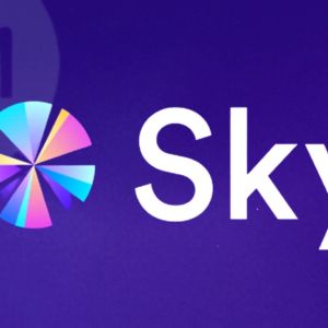 Sky Protocol became one of the top fee producers for 2025, with $338M in revenues