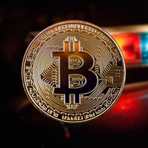 10 Bitcoin bust leads authorities to alleged ‘FreeCity’ darknet operator