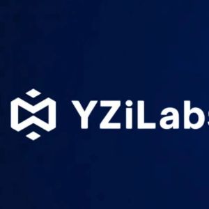 YZi Labs exposes hidden 10x ownership stake in BNB treasury company CEA Industries