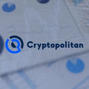 The Mind of a Crypto Investor: What 200,000 Readers Reveal About Crypto Market Attention