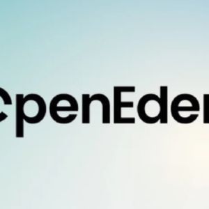 Why did the OpenEden team choose not to sell tokens?