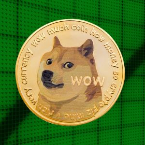 Dogecoin activity rises 28% on SpaceX IPO hype