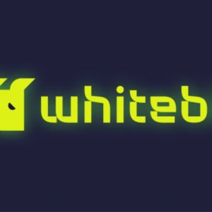 WhiteBIT wins approval for crypto derivatives trading in Georgia