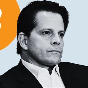 Scaramucci says SpaceX is a proof companies now view Bitcoin as a strategic reserve asset