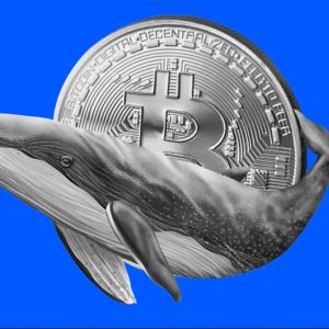 Bitcoin tops $74K as whale buying drives momentum