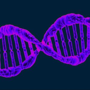 Scientists bet on longevity to unlock a longer lifespan for humans