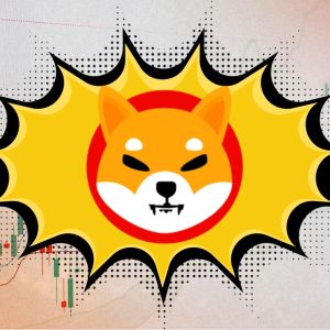 Shiba Inu  price prediction 2026-2032: Will SHIB skyrocket soon?