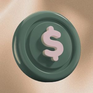 Stablecoins evolve from crypto trading tools into global payment infrastructure