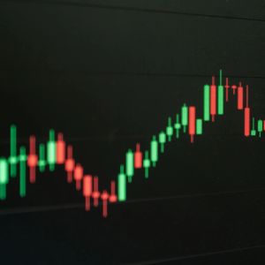 Strive stock rallies as daily dividend push overshadows quarterly loss