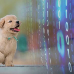 AI pet collar claims it can decode cats and dogs with 95% accuracy