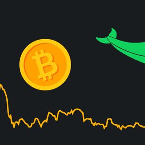 Whales trading interest in Bitcoin is now at the lowest point since 2020￼