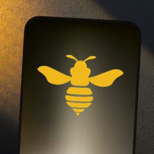 HIVE bets $185 million on 2,016 Blackwell Ultra GPUs to chase a $200 million ARR target