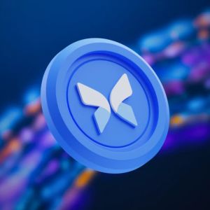 Morpho halves Aave's lending lead as outstanding loans hit $5B record
