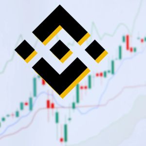From CEA Industries to BNB Standard: BNB treasury firm chooses new name with X vote