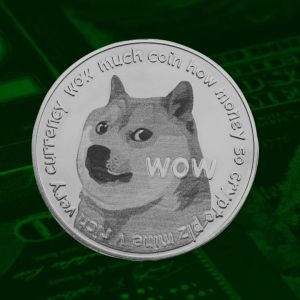 Dogecoin Foundation breakup forces House of Doge into a corporate rename