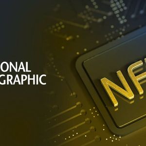 In pictures: All you need to know about National Geographic’s first NFT series