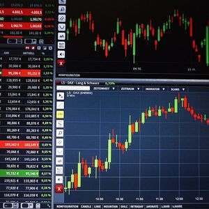 Tried By The Best, Long-Term Trading Tips You Should Know