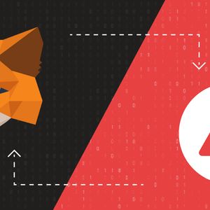 How to add Avalanche to Metamask