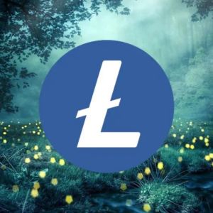 Litecoin price analysis: LTC price suffers a further downtrend at $89.14