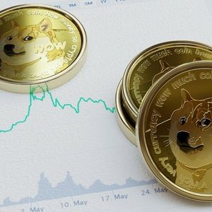 Dogecoin whales transfer over 500M DOGE to unknown wallets