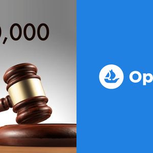 OpenSea sued for $500,000 by NFT collector for negligence