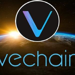 All you need to know about VeChain summit’s rebranded version— The Hive