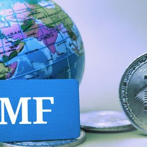 Banning Crypto 'Should Not Be Taken Off The Table': IMF