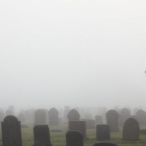 ‘Sandwich the Ripper’ MEV Exploiter Joins Tether’s Graveyard of Blacklisted Addresses