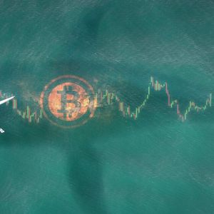 Bitcoin Whale Moves Nearly $8M After 10 Years of Inactivity